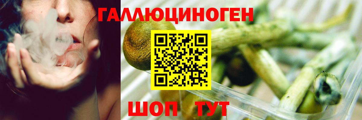 Горячий Ключ  Галлюциногенные грибы прущие грибы  Вход с VPN 